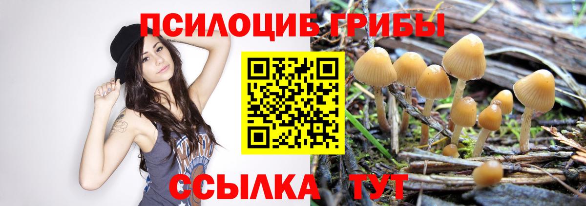 Галлюциногенные грибы GOLDEN TEACHER  Вход с VPN  Галлюциногенные грибы Psilocybine cubensis  цена наркотик  Семилуки 
